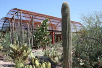  Desert Botanical Garden