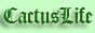 Cactus Life - кактусы в вашем доме